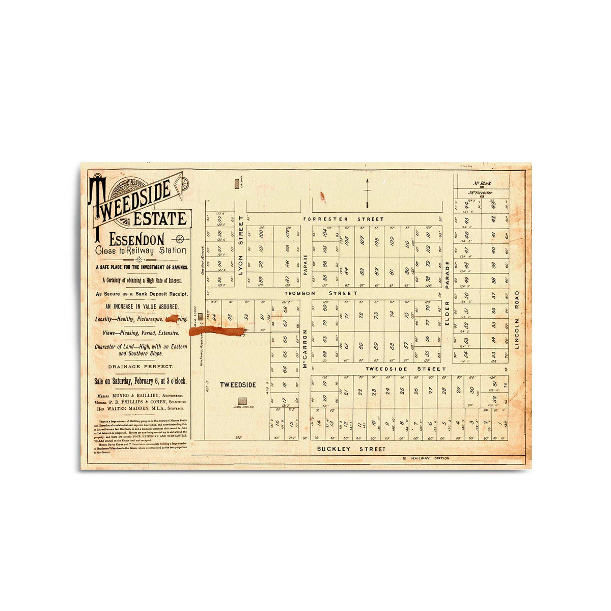 1886 Vintage Map of Essendon, Victoria Australia Vintage Maps