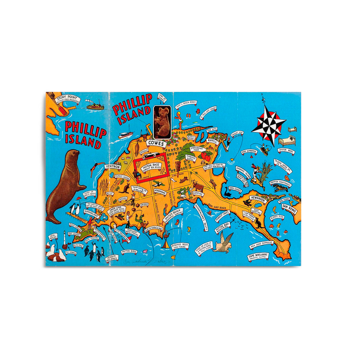 1933 Vintage Map & Illustration of Phillip Island, Victoria Australia — free download