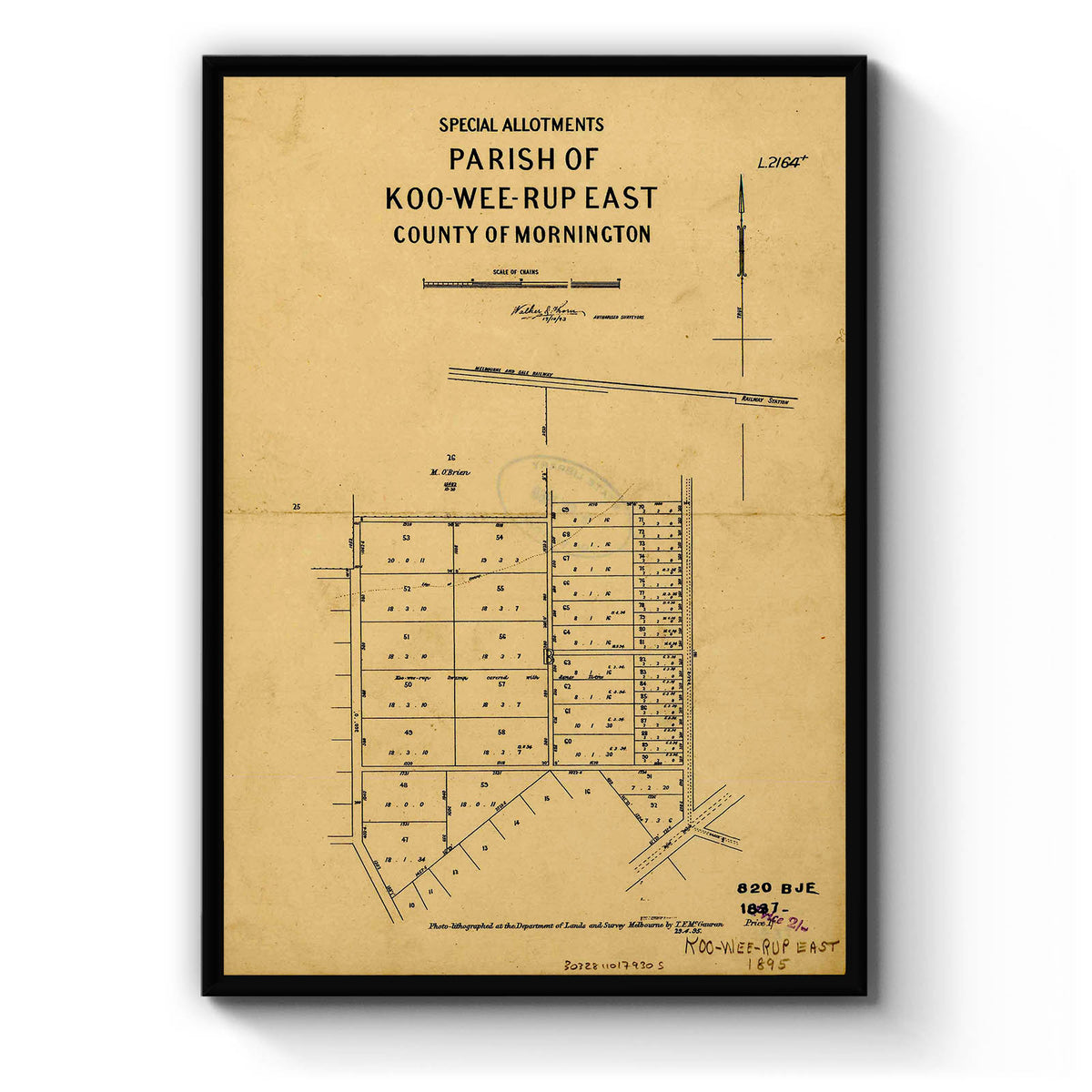 Koo Wee Rup, Victoria Australia Vintage Map 1 (1895) Vintage Maps