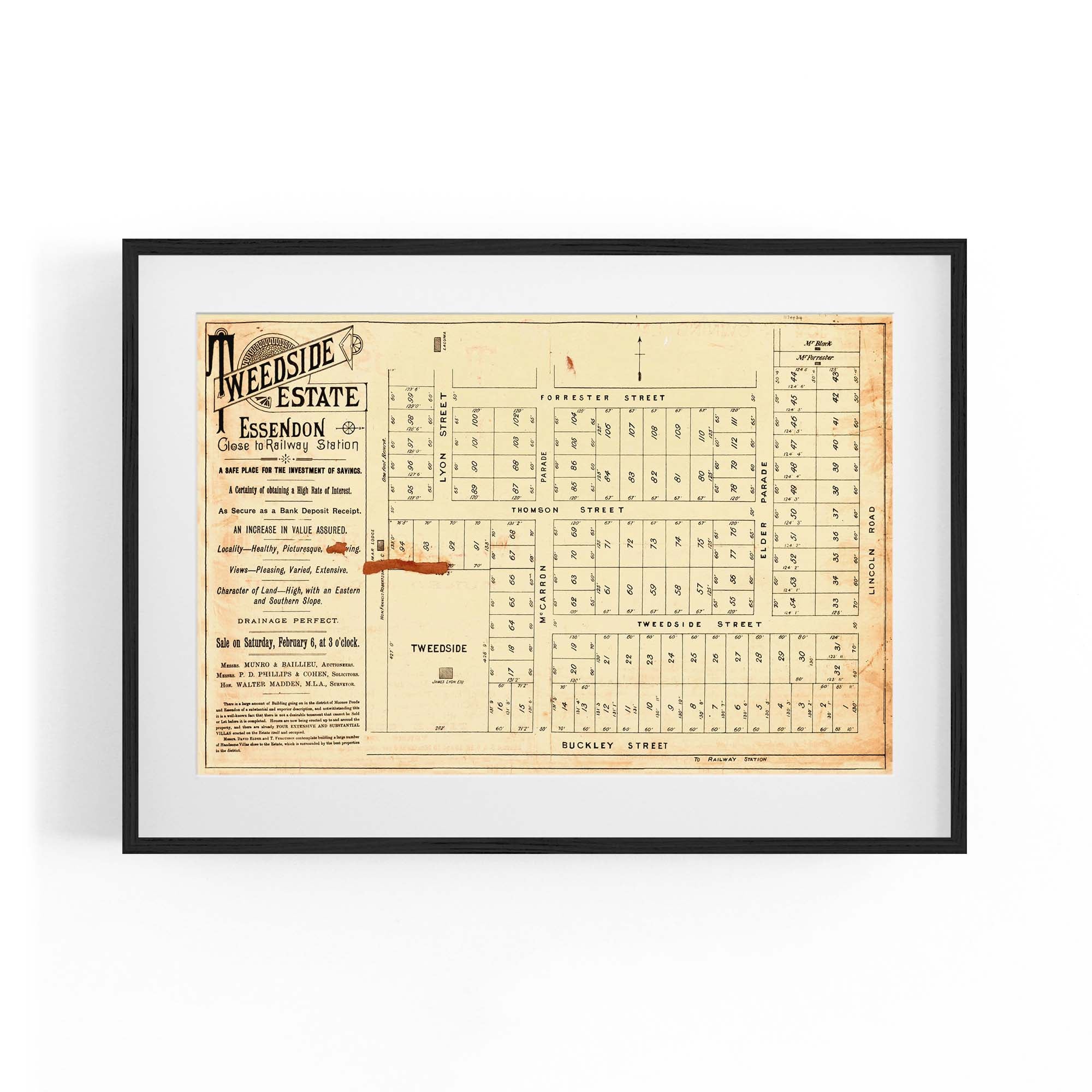 1886 Vintage Map of Essendon, Victoria Australia Vintage Maps
