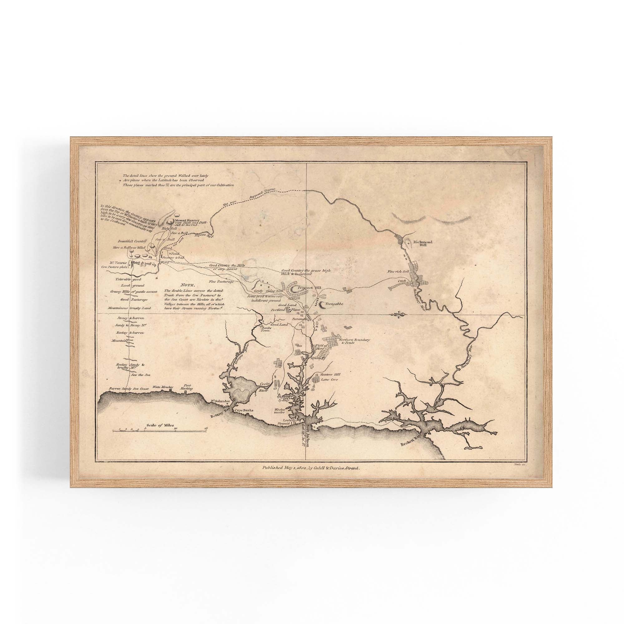 1802 Chart of the three harbours of Botany Bay, Port Jackson and Broke ...