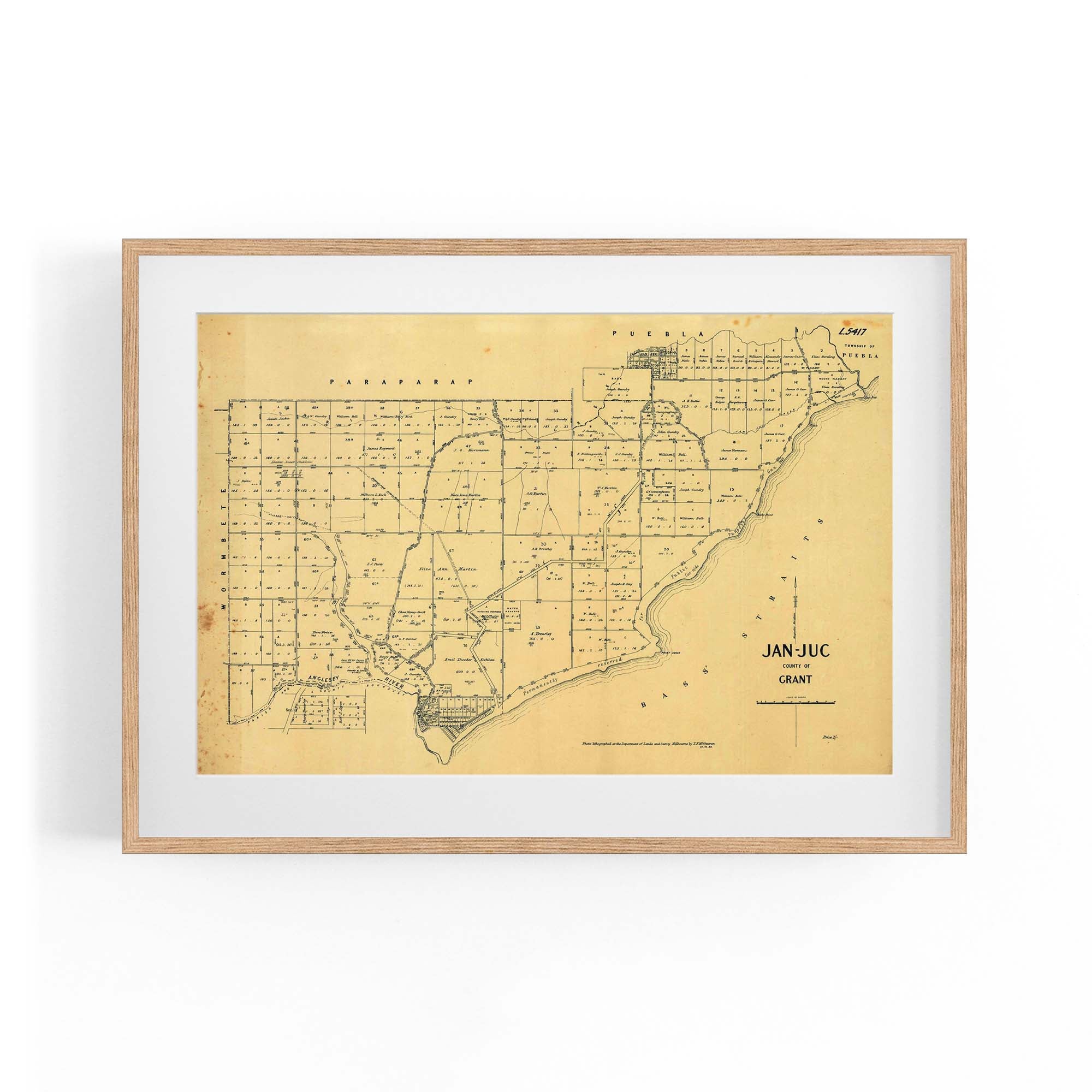 1889 Vintage Map Of Anglesea, Victoria Australia – Vintage Maps