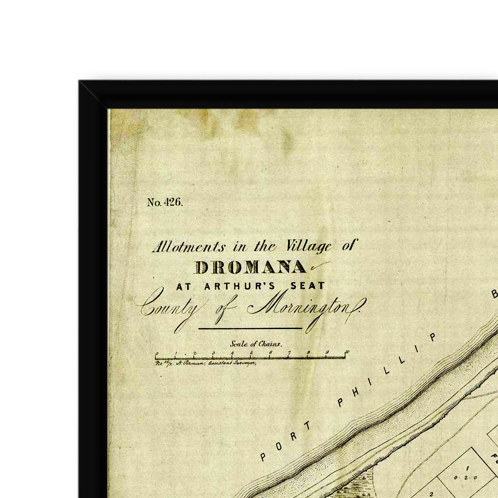 Dromara Map Dromana, Victoria Australia Vintage Map #10 (1856) – Vintage Maps